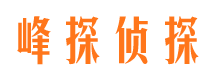 金城江市场调查